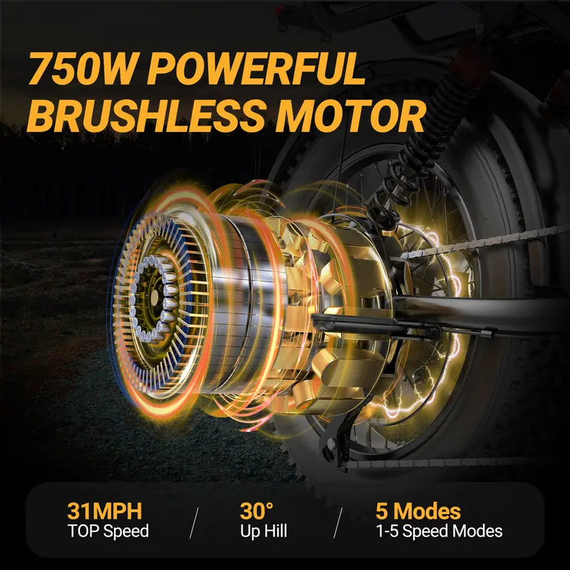 Peak Power Electric Bike 1500W