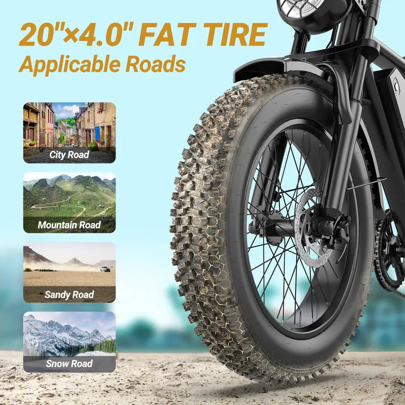 Peak Power Electric Bike 1500W