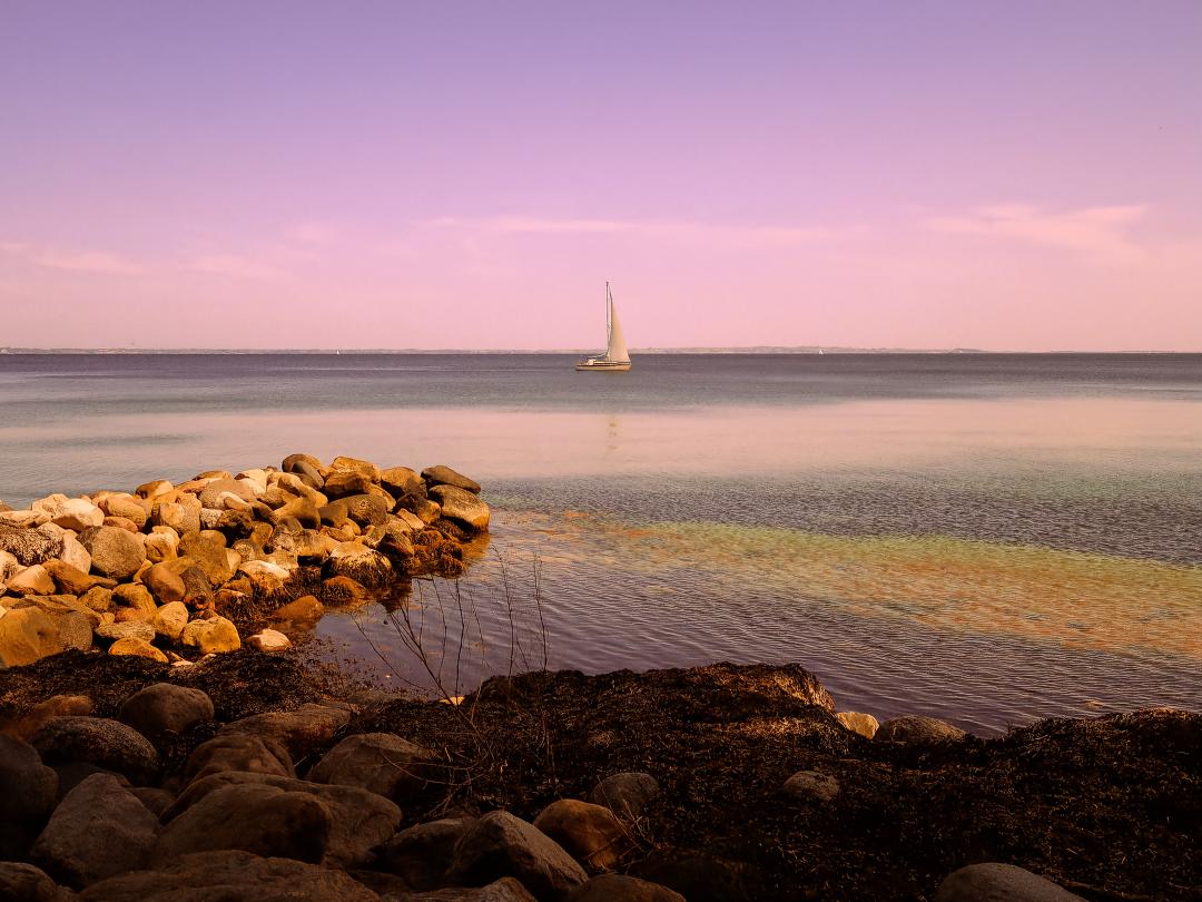 Powershot SX740HS